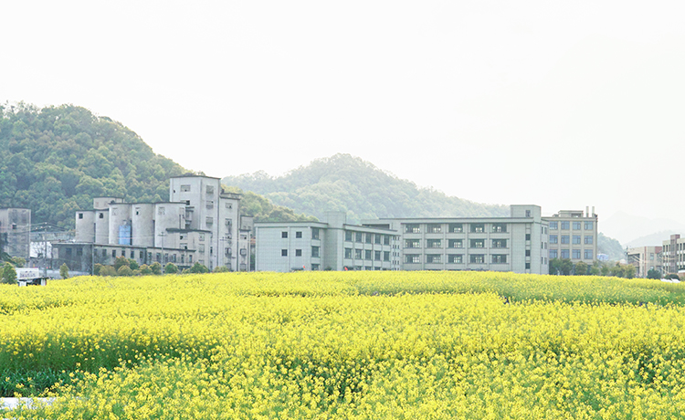校园环境